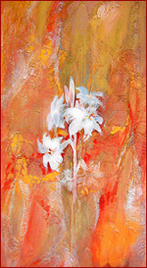 SHOSHAN - (Hebrew) lily (acrylic painting by Erika Steinbeck)