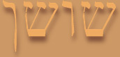 shoshan (hebräisch 'Lilie')